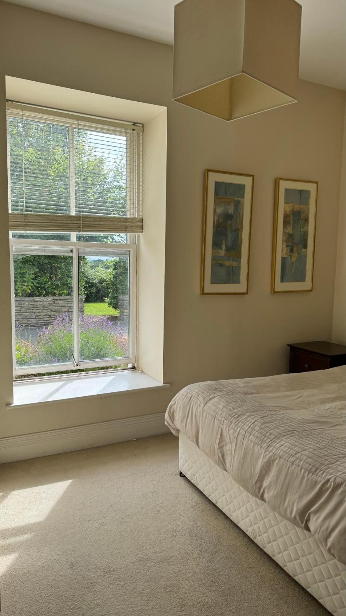 Room With Private Bathroom Near The Center Cork Exterior foto